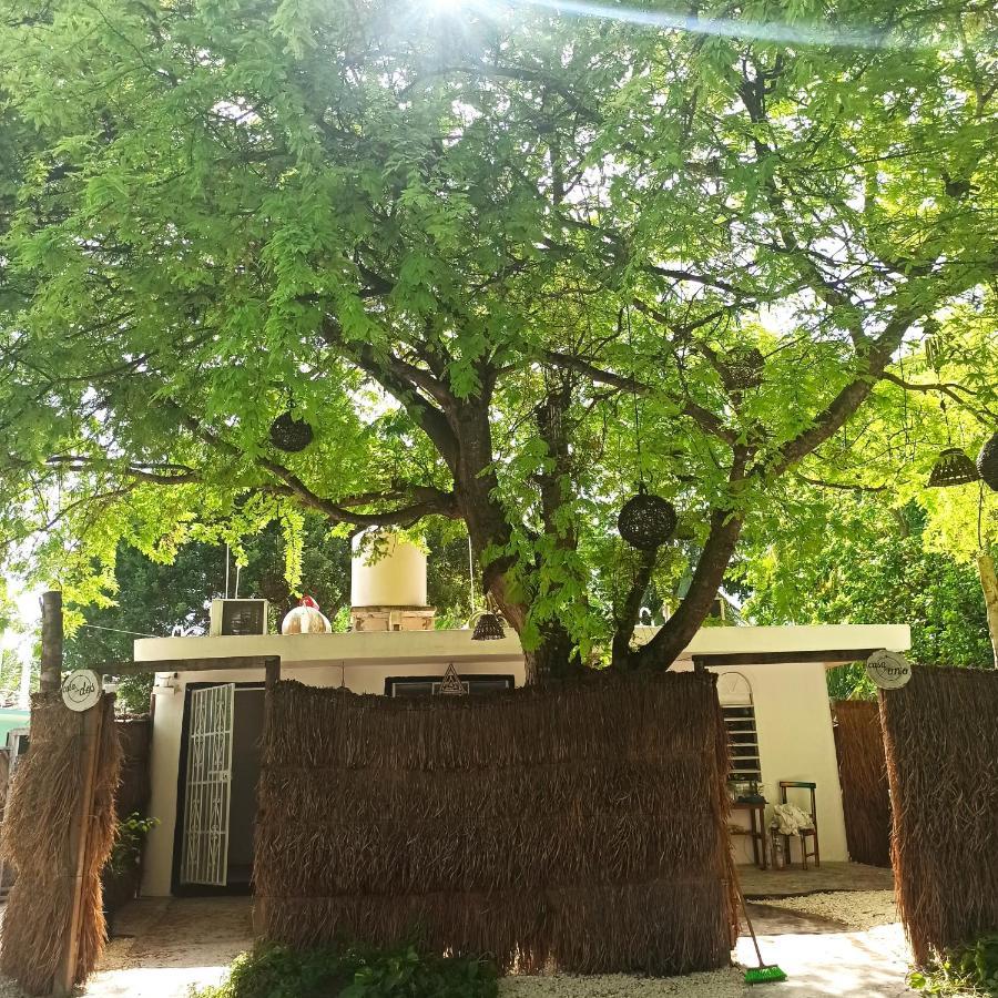 דירות Casa Arte בקאלאר מראה חיצוני תמונה